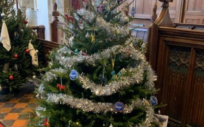 Christmas Tree Festival